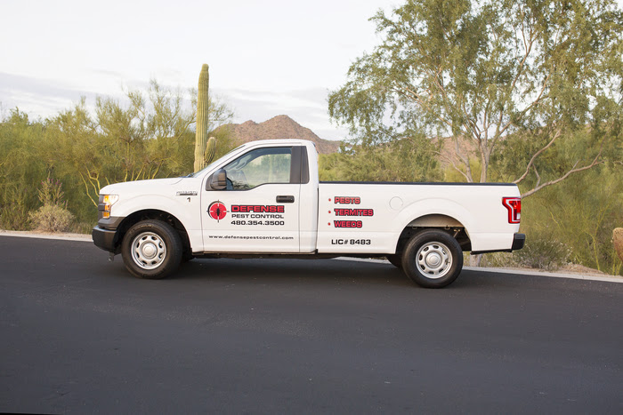 Experienced pest control company in the East Mesa area