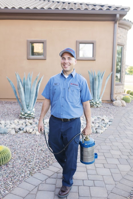 Quality and satisfaction guarantee for pest control service in Mesa